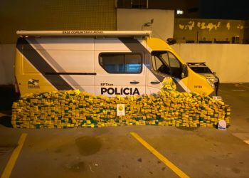 Em abordagem de trânsito, policiais militares apreendem 752 quilos de maconha