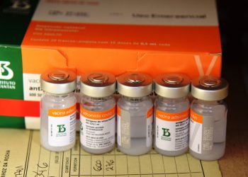 Nova remessa da Coronavac com 57,8 mil doses chega neste sábado