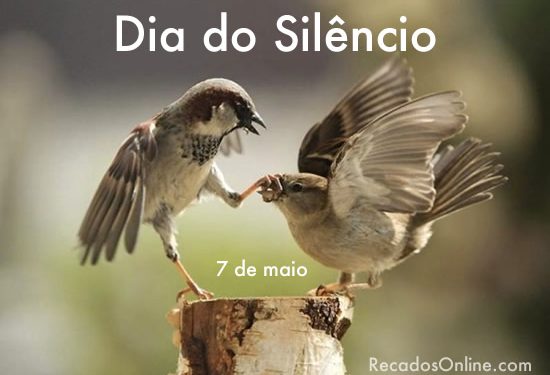 Em maio tem o Dia do Silêncio e o Dia da Vitória. Como você comemora isto?