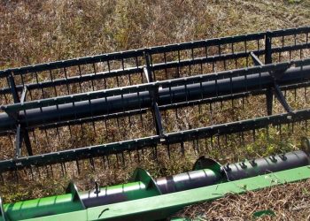 Paraná deve produzir 38,6 milhões de toneladas de grãos na safra 2020/21