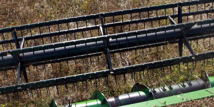 Paraná deve produzir 38,6 milhões de toneladas de grãos na safra 2020/21