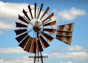 Coluna de Notas: A notícia pormenorizada no Cata-Vento