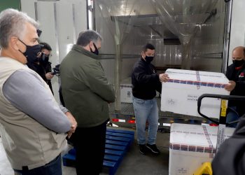 Paraná recebe 234 mil vacinas contra a Covid-19; doses da Pfizer vão para os 399 municípios