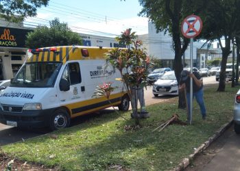 Trânsito de Campo Mourão passa por alterações