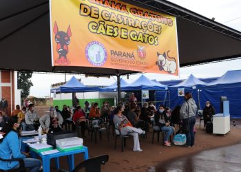 Inscrições neste sábado para castração de animais na praça central
