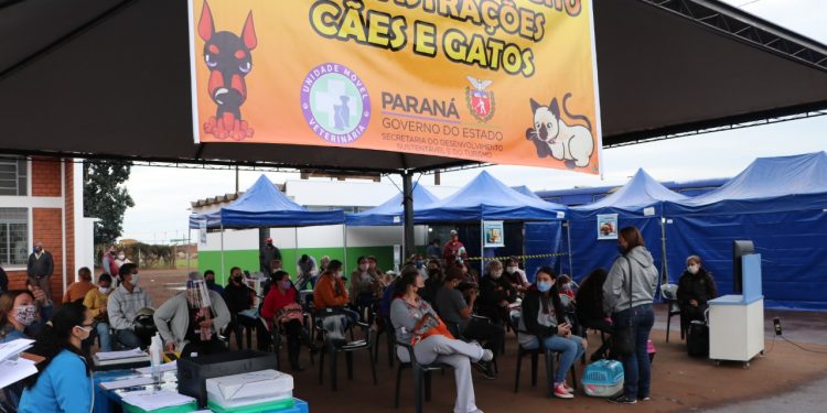 Inscrições neste sábado para castração de animais na praça central