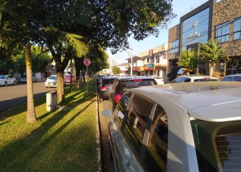 Estacionamento paralelo a canteiros no centro já está proibido