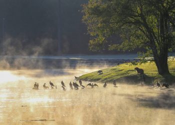 Frio atinge todo o Paraná e 15 municípios registram as temperaturas mais baixas do ano