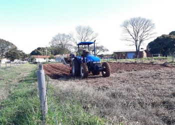 Estudo do IDR-Paraná recomenda plantio direto de mandioca em sistemas integrados