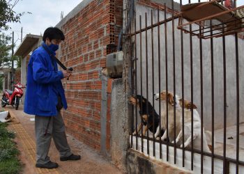Guarda responsável de animais pode evitar ataques de cães contra leituristas