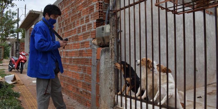Guarda responsável de animais pode evitar ataques de cães contra leituristas