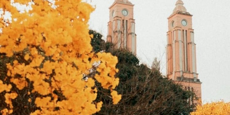 Inscrições para o Concurso de Fotografias vão até dia 10