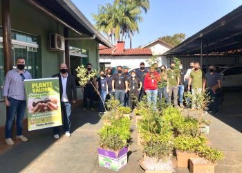Distribuição de mudas em troca de alimentos segue até sábado em Campo Mourão