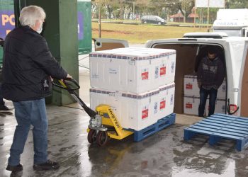 Mais 240,9 mil vacinas contra a Covid-19 chegam ao Paraná
