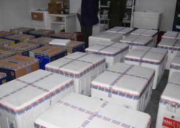 Paraná recebe mais 435.290 vacinas contra Covid-19 entre domingo e segunda-feira