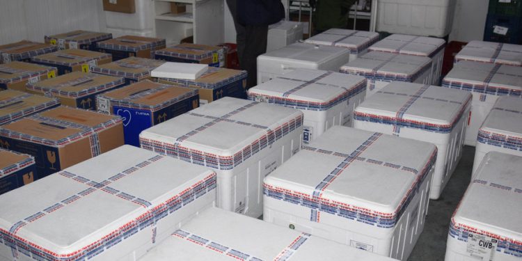 Paraná recebe mais 435.290 vacinas contra Covid-19 entre domingo e segunda-feira