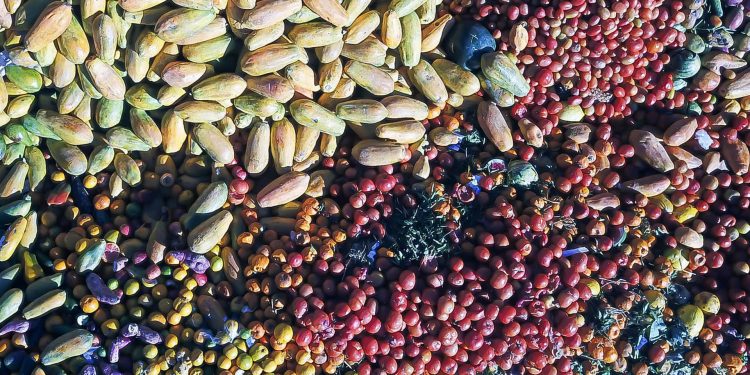 Paraná firma parceria com a Suécia para enfrentamento do desperdício de alimentos