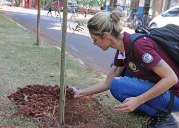 Plantio em parque e troca de mudas vão marcar Semana da Árvore