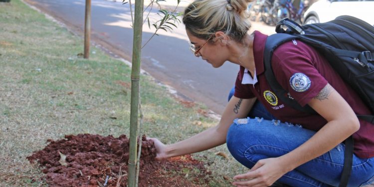 Plantio em parque e troca de mudas vão marcar Semana da Árvore