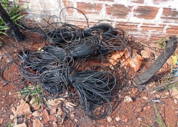 Parque do Jardim Modelo é alvo de furtos de cabos elétricos; prejuízos passam de R$ 35 mil