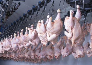 Qualidade e rigor sanitário fazem do Paraná líder em exportação de carne halal