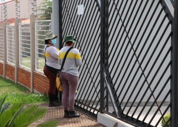 Infestação do mosquito Aedes aegypti aumenta e já está em 3,54
