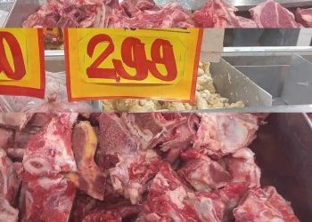 Procon orienta que ossos de boi sejam doados e não vendidos