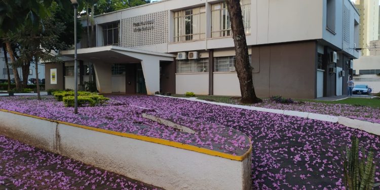 Feriado do Dia do Servidor Público será antecipado para o dia 11