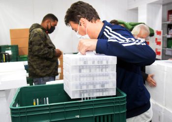 Estado vai receber mais 450,4 mil vacinas contra a Covid-19 nesta quarta-feira