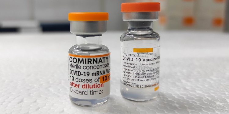 Saúde começa a distribuir 686,8 mil vacinas contra a Covid-19 a todos os 399 municípios