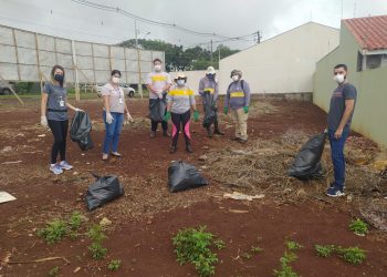 Confirmados 85 casos de dengue em Campo Mourão