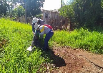 Campo Mourão está com alto índice de infestação do mosquito Aedes aegypti