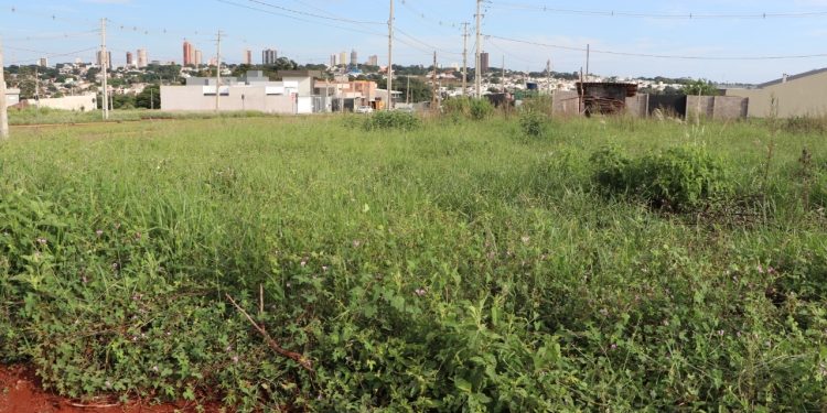 Proprietários de lotes sujos são notificados e podem receber multa