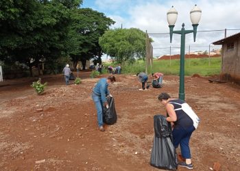 Cinco entidades adotaram bairros para ajudar no combate a dengue