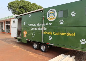 Castrações gratuitas de “pets” fêmeas serão retomadas nos bairros de Campo Mourão