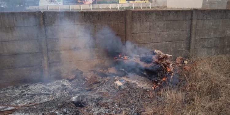 Fogo primeiro no capim seco e depois no toco!