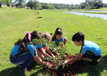 Alunos plantam mudas de árvores no Parque das Torres