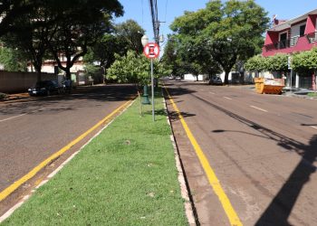 Estacionamento paralelo a canteiros na Avenida Irmãos Pereira está proibido