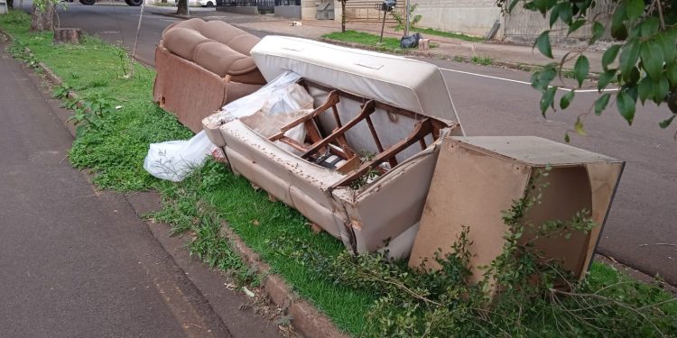 Uma mudança no canteiro da avenida!