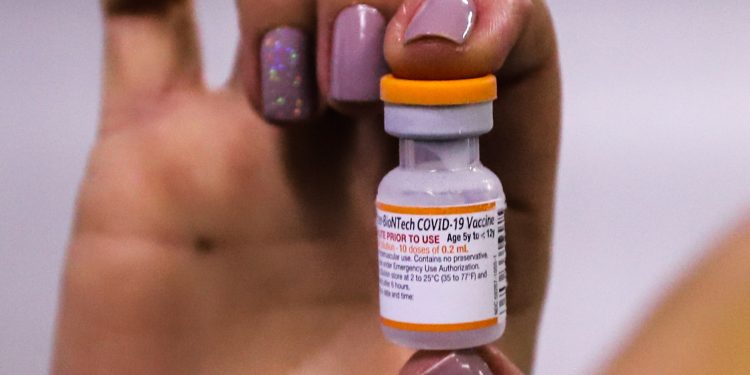 Paraná distribui vacinas contra Covid-19 nesta quarta e iniciará reforço do público de 5 a 11 anos