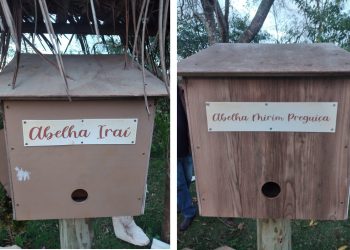 Colmeias instaladas em parque de Campo Mourão são alvo de vandalismo