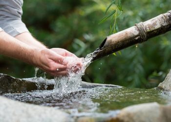 SEMA cadastra propriedades para projeto de proteção de nascentes em Campo Mourão