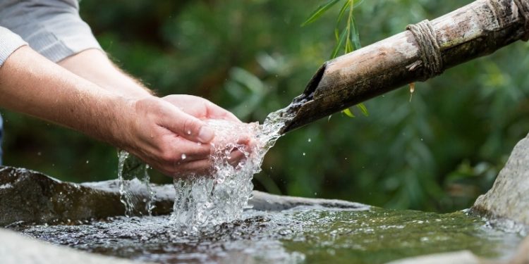 SEMA cadastra propriedades para projeto de proteção de nascentes em Campo Mourão