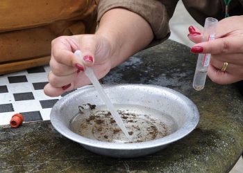 Infestação do mosquito de dengue em Campo Mourão está em alto risco: 9,72 por cento