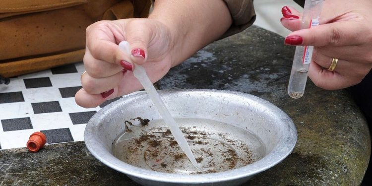 Infestação do mosquito de dengue em Campo Mourão está em alto risco: 9,72 por cento