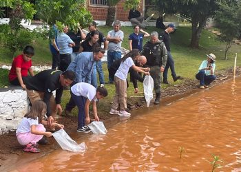 IAT auxilia na soltura de 80 mil alevinos em diferentes pontos do Paraná