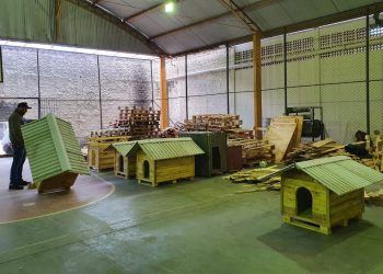 Casinhas feitas em penitenciária do Paraná vão ajudar a abrigar animais resgatados no RS