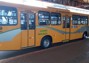 Procon e Ipplan contratam estudo para transporte público gratuito