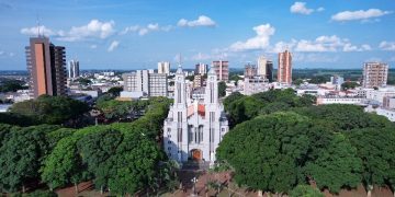 Plano de arborização de Campo Mourão é tema de audiência pública