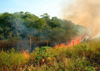 Risco de incêndio: SEMA reforça medidas de prevenção e contato de emergência